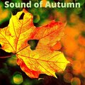 Sounds of Autumn