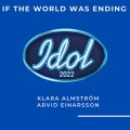 If The World Was Ending