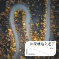 罗福兰 - 缘分