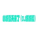 DJ多2022、嘉垛 - 小城夏天来了 (DJ城城版)