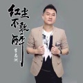 志洲-红尘不敢醉 (伴奏)(DJ默涵版)