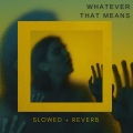 Velours - Whatever That Means