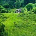 Ambient Nature White Noise、Brown Noise、White Noise Therapy - Zen drowsy sleep noise
