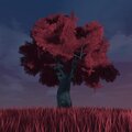 Doda - Empyrean