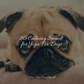 50 Calming Sounds for Yoga For Dogs