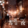 雪落这一夜