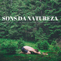 Sons Da Natureza: A Melhor Seleção De Sons Da Natureza Para Sua Aula De Ioga