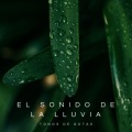 Naturaleza Sonidos、Sonidos De Truenos y Lluvia、Relajacion - Ruido De Lluvia