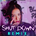 Mk 12-D - Shut Down (Remix)