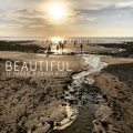 Davor Bozic、Lee Harris - Beautiful