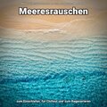 Meeresrauschen Sounds Arno Holmberg、Entspannungsmusik、Meeres Rauschen - Ayurveda zwischendurch
