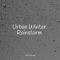 Urban Winter Rainstorm