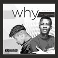 Zyni、Dreysungz - Why (feat. Dreysungz)