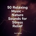 50 Relaxing Music - Nature Sounds for Stress Relief