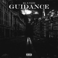 Guidance (Explicit)