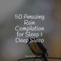 Nature Ambience、The Rain Library、Pet Care Music Therapy - Rain in the City