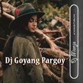 Dj Manja - Dj Pargoy Slow Melody