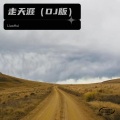 8052 - 走天涯 (8052 remix)