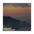 Meditation Music - Group Meditation Music, Pt. 4