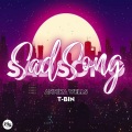 T-Bin、Annika Wells - Sad Song (Remix)