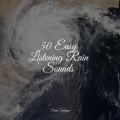 Academia de Música para Massagem Relaxamento、Loopable Rain Sounds、Ambiente - Small Waves Crashing