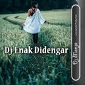 Dj Enak Didengar