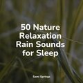 50 Nature Relaxation Rain Sounds for Sleep