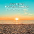 Meditation Music、Relaxing Music、Yoga - Waves Ocean, Pt. 19