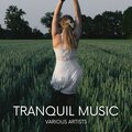Meditation Music、Relaxing Music、Yoga - Waves Ocean, Pt. 10