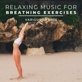 Meditation Music、Relaxing Music、Yoga - Waves Ocean, Pt. 11