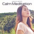 Meditation Music、Relaxing Music、Yoga - Waves Ocean, Pt. 12