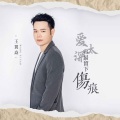 王翼焱 - 爱太深容易留下伤痕