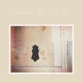 Laura Marling - Nouel