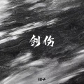 球子 - 剑伤
