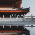 凤引九雏