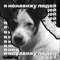 Я ненавижу людей (Explicit)