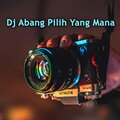Cool Project - Dj Abang Pilih Yang Mana