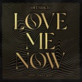 Love Me Now (feat. FAST BOY)