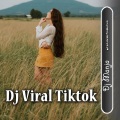 Dj Manja - Dj Viral Ko Pilih Dia