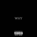 Why (Explicit)