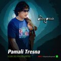 Dedy Pitak、Jawa Ngapak、Penginyongan、Kanjeng Ganyong、Lagu Jawa、Musisi Cilacap、REC ©dpstudioprod、DEDY PITAK STUDIO、Dangdut Jawa、Dut Campursari、@dpstudioprod - Pamali Tresna (feat. @dpstudioprod Musisi Cilacap Kanjeng Ganyong Dut Campursari Dangdut Jawa Lagu Jawa Penginyongan Jawa Ngapak DEDY PITAK STUDIO & REC ©dpstudioprod)