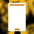 Xcex Destructor - Solver