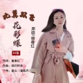 比翼双飞花彩蝶 (DJ版)