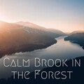 Calm Brook in the Forest