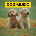 Sleepy Dogs、Cat Music、Dog Music - Stalks Leopard