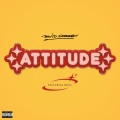 Attitude (Explicit)