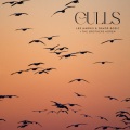 Lee Harris、Davor Bozic、The Brothers Koren - Gulls