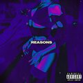 Reasons (Explicit)