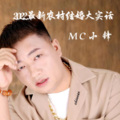 Mc小锋 - 二手车行