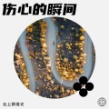 光似雪 - 枷锁